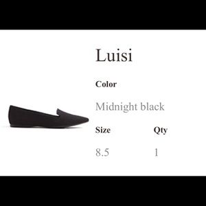 Aldo Pointy Black Flats - Luisi